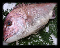 鮮魚